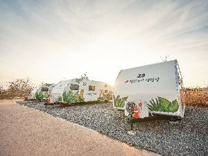 파주_평화누리캠핑장 (7)