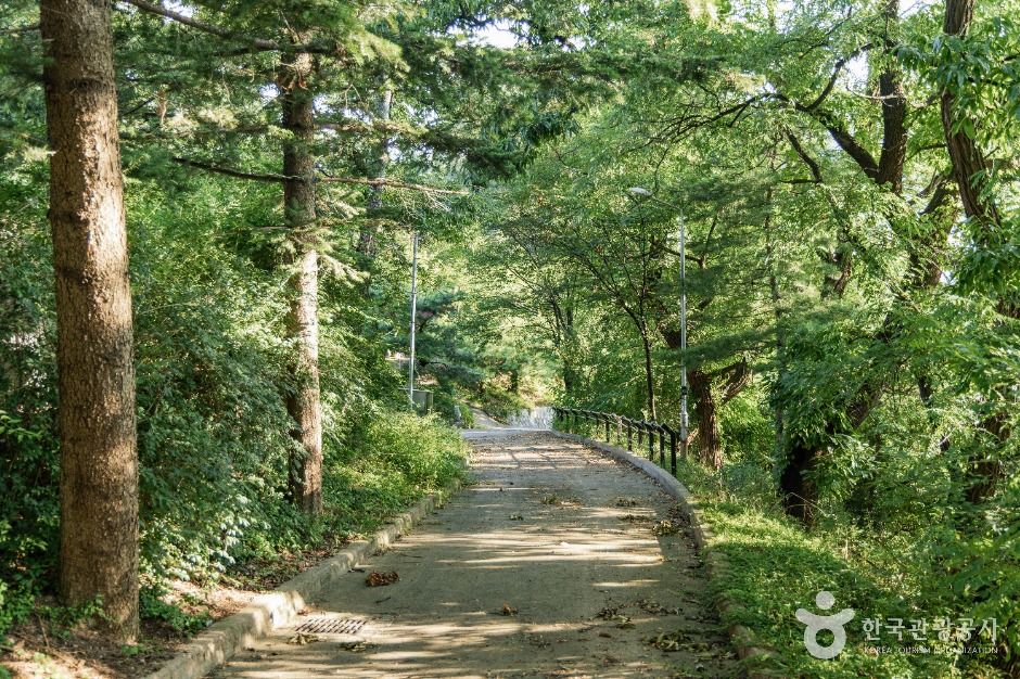 영주_구성공원 (6)
