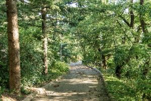 영주_구성공원 (6)