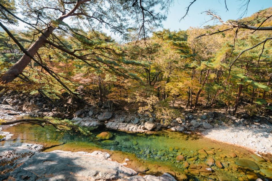 산청_대원사계곡길 (1)