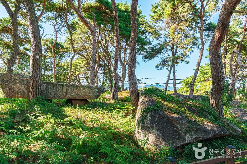 함평용월리지석묘군