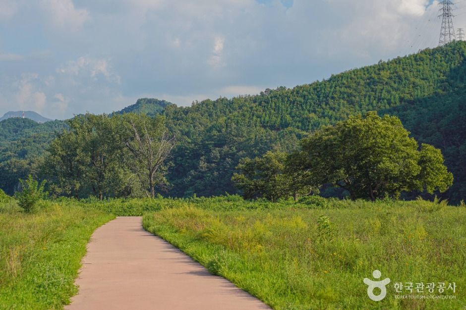 내도리강변유원지