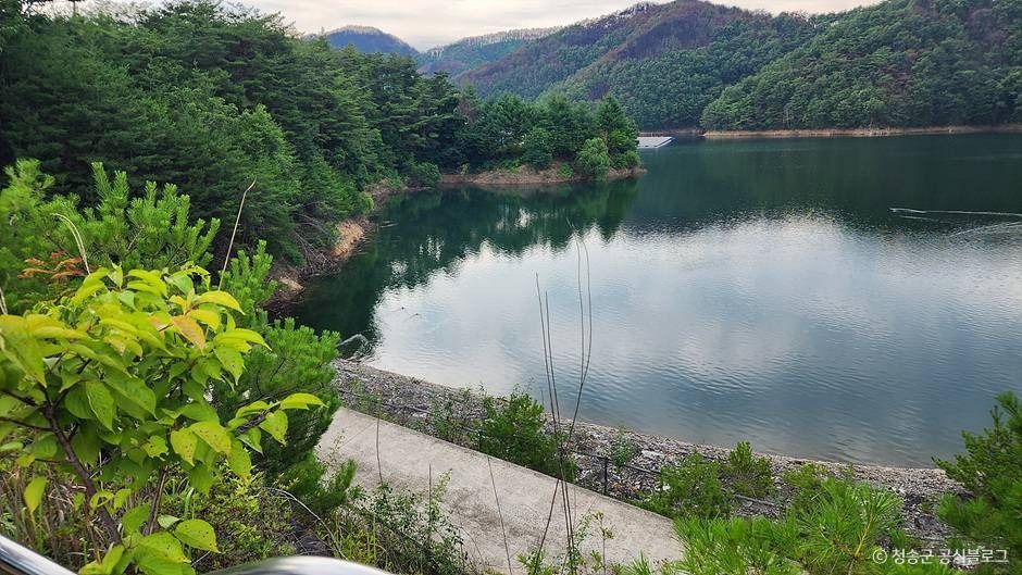 파천 구상 화강암 (청송 국가지질공원)