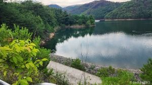 청송_파천 구상화강암 (청송 국가지질공원) (5)