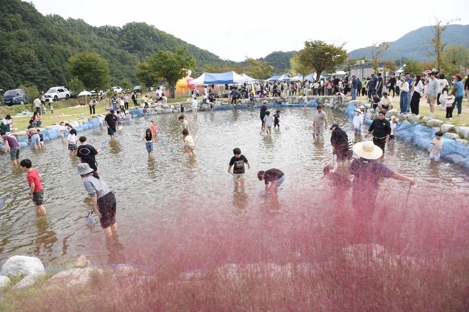 2025 성주가야산황금들녘메뚜기축제 3