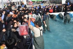 최남단 방어 축제, 가을바다 한 점 하실래요? 2025 최남단방어축제 1