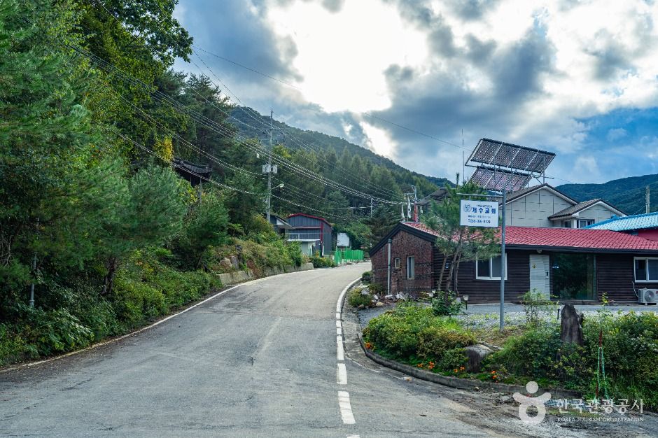 평창_봉황둘레길 (6)