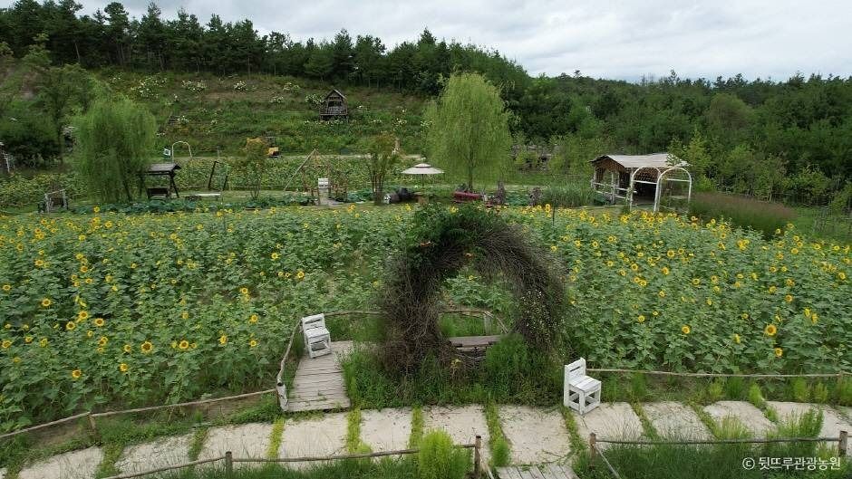 뒷뜨루관광농원