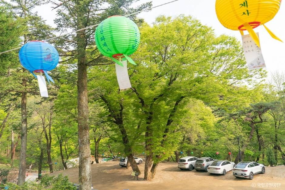 thumbnail-파계사-25