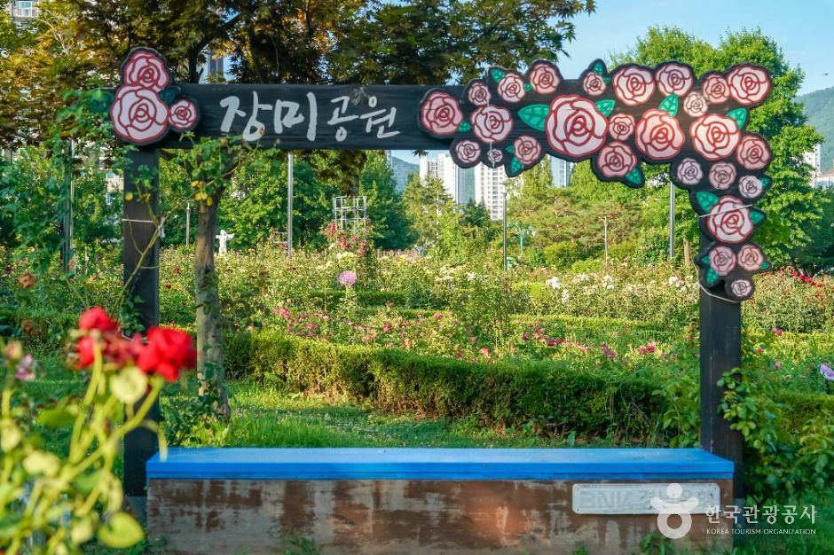 thumbnail-장미공원(창원)-3