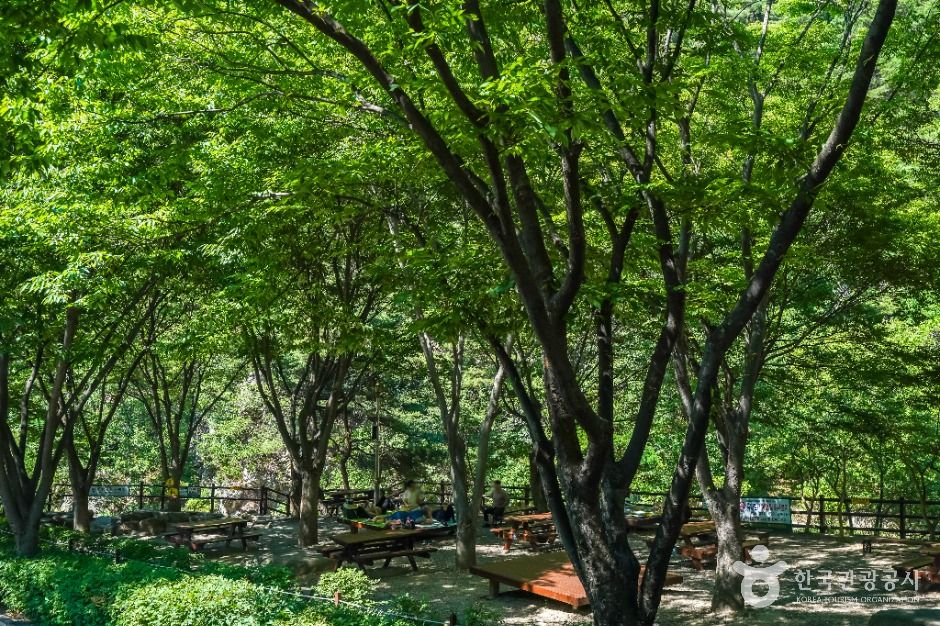 thumbnail-화원자연휴양림-4