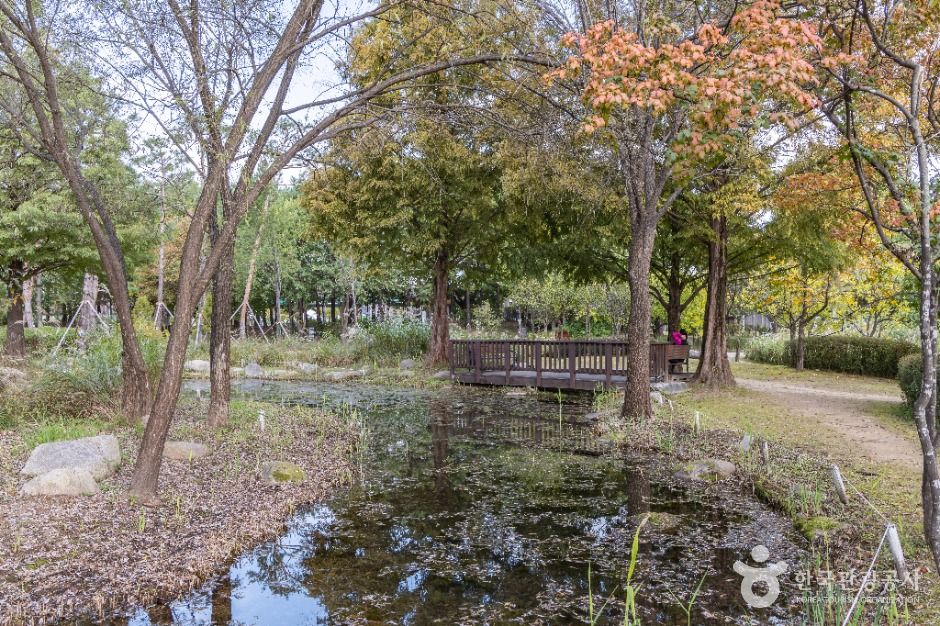 서울_서울창포원 (4)