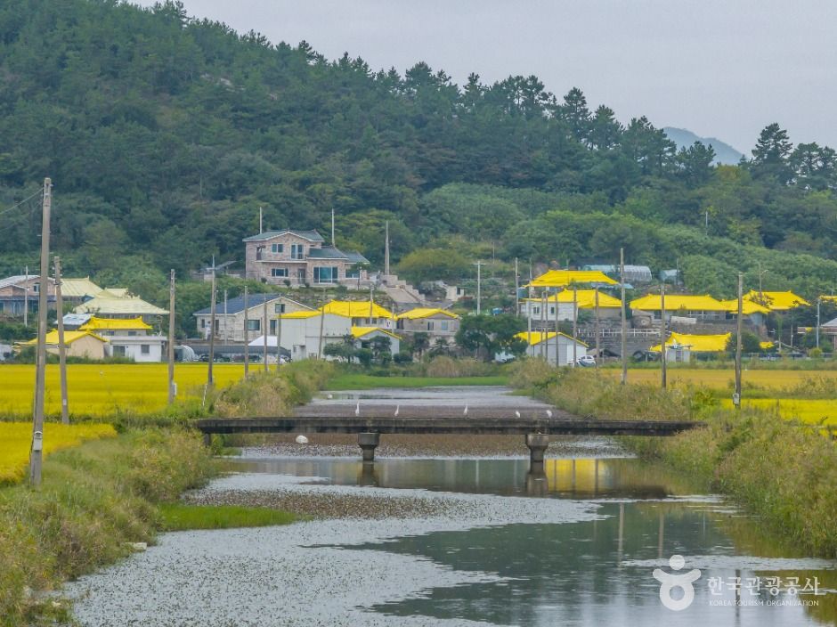 신안_하의도 (8)