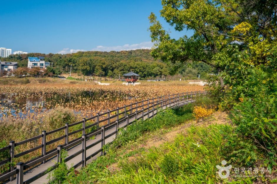 나불지 생태공원