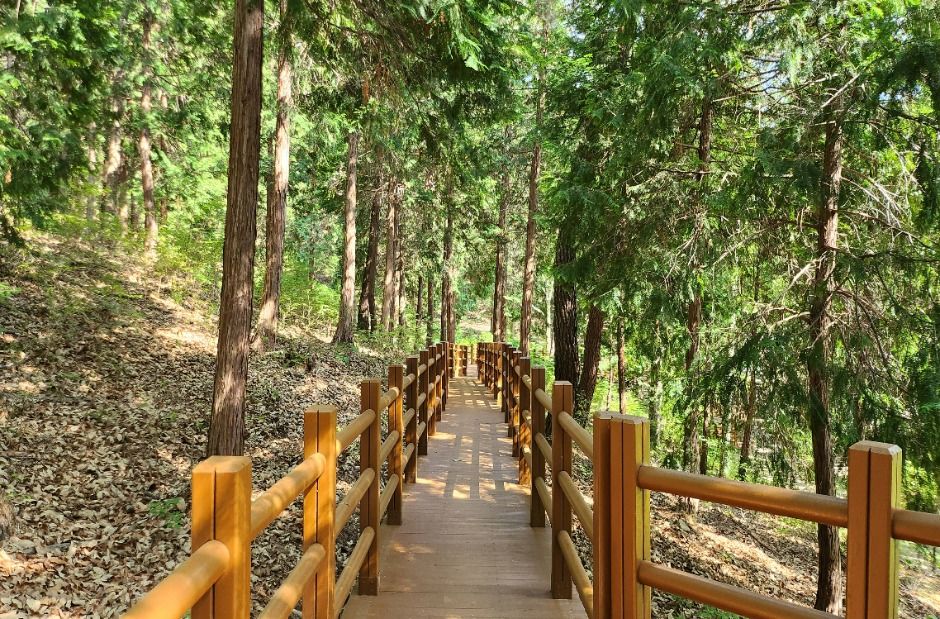 국립대운산치유의숲