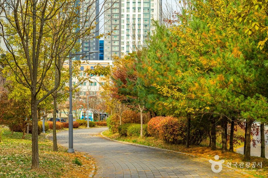 부천_부천문화둘레길-도시숲길 (11)