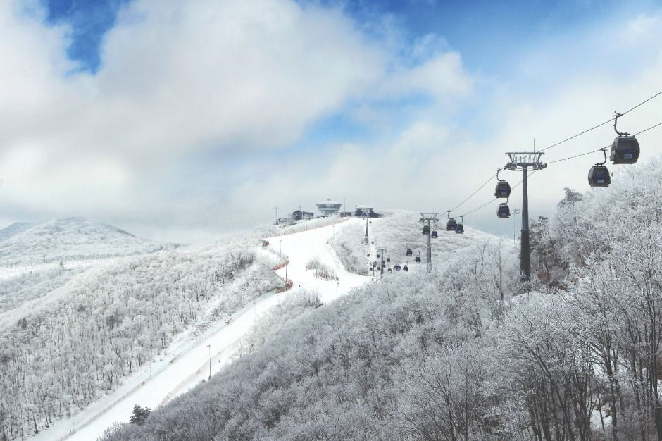 정선_하이원리조트 스키장 (7)