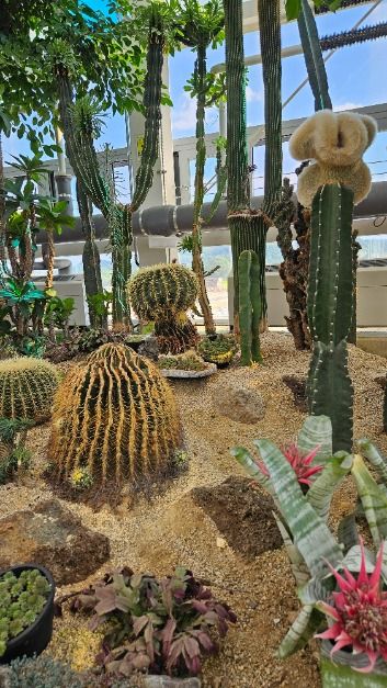 제천_아열대 스마트 온실 (6)