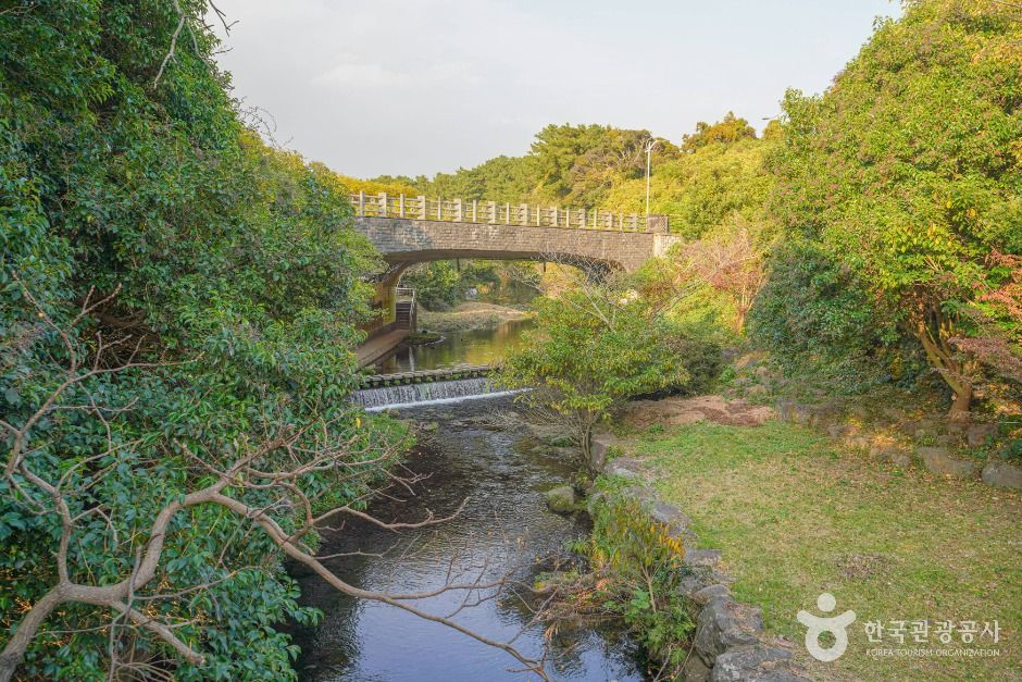 서귀포_[하영올레] 2코스 (1)