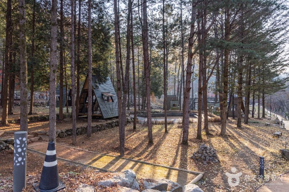 임실_왕의숲 국민여가캠핑장 (6)