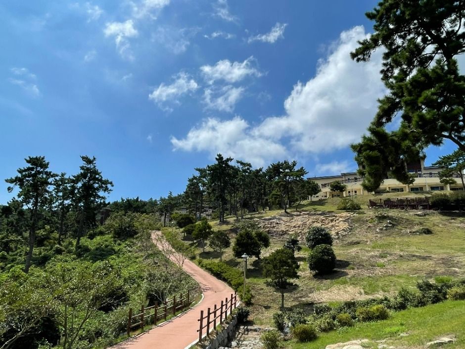 진도_국립진도자연휴양림 (5)