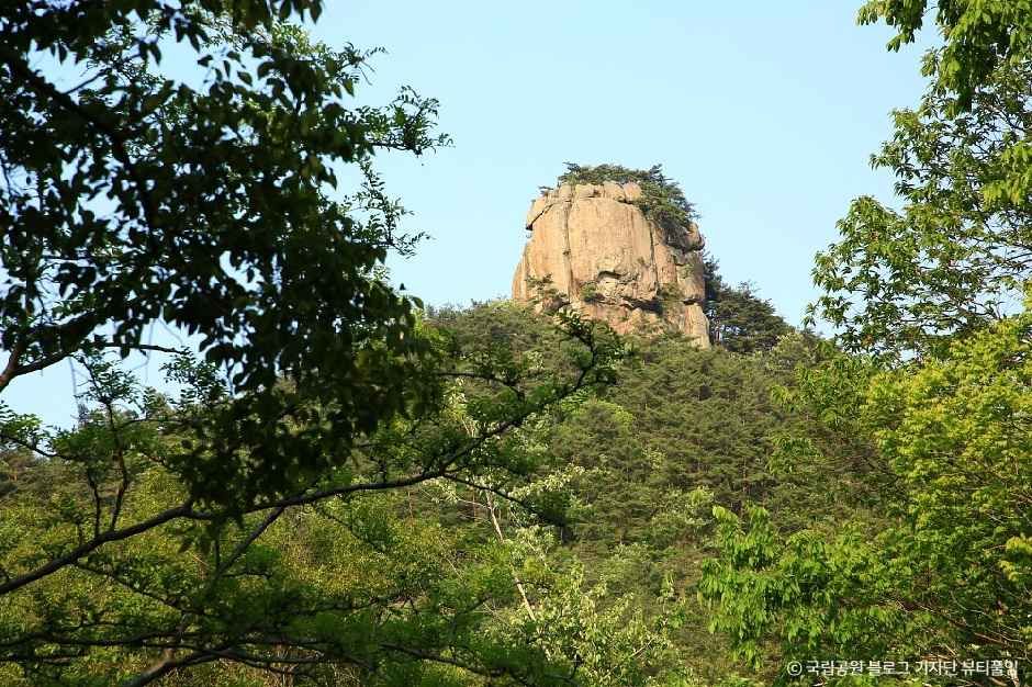 thumbnail-내변산-1