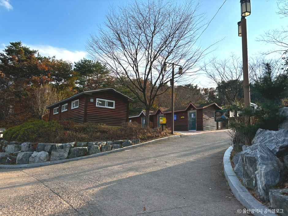 thumbnail-태화연오토캠핑장-3