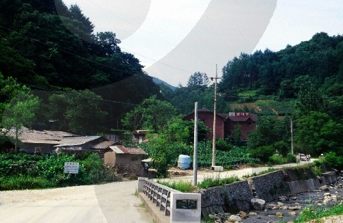 Geumdaegyegok Valley (금대계곡)