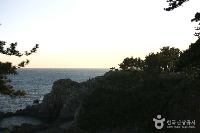 [제주올레 7코스] 서귀포-월평 올레1