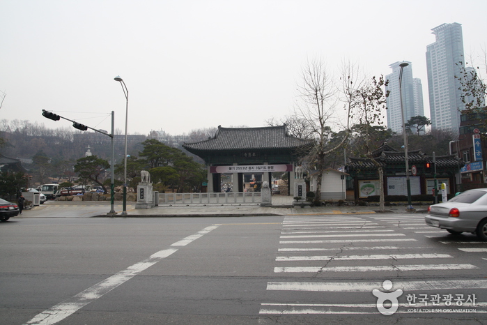 奉恩寺山寺體驗(봉은사 산사체험)