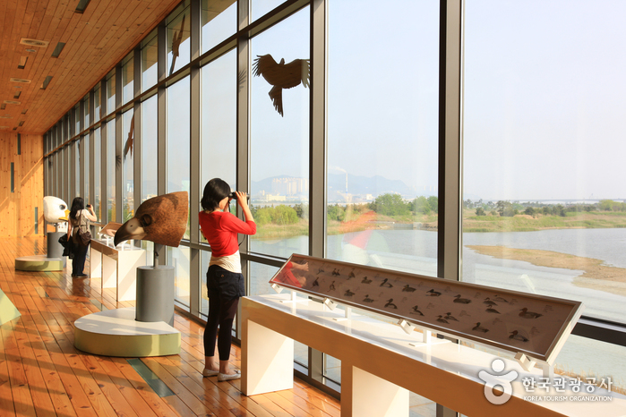 Nakdong Estuary Eco-Center (낙동강하구에코센터)