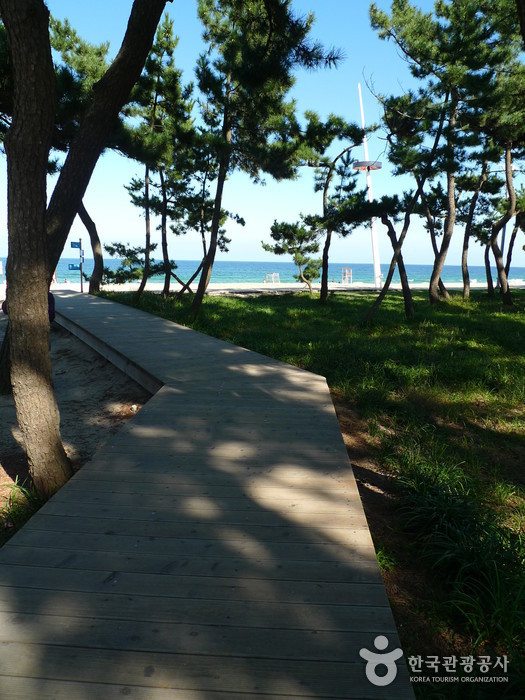 Gyeongpo Beach (경포해변)