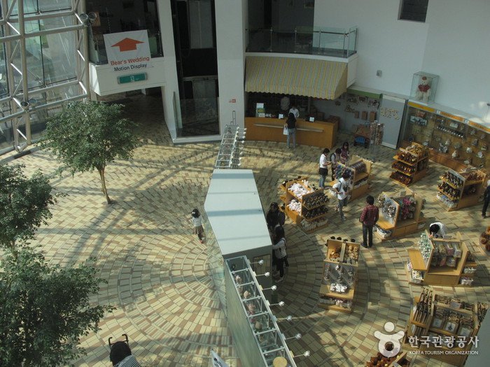 Teddy Bear Museum (제주 테디베어뮤지엄)