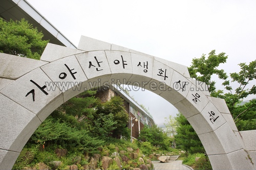 伽倻山野生花植物園（가야산 야생화식물원）