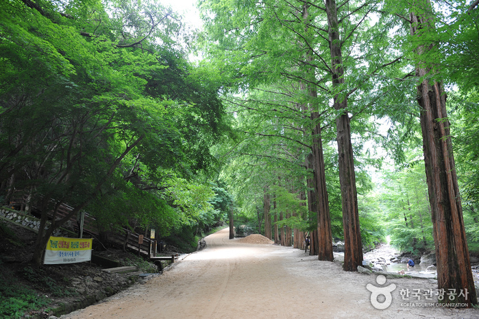 강천산군립공원 사진4