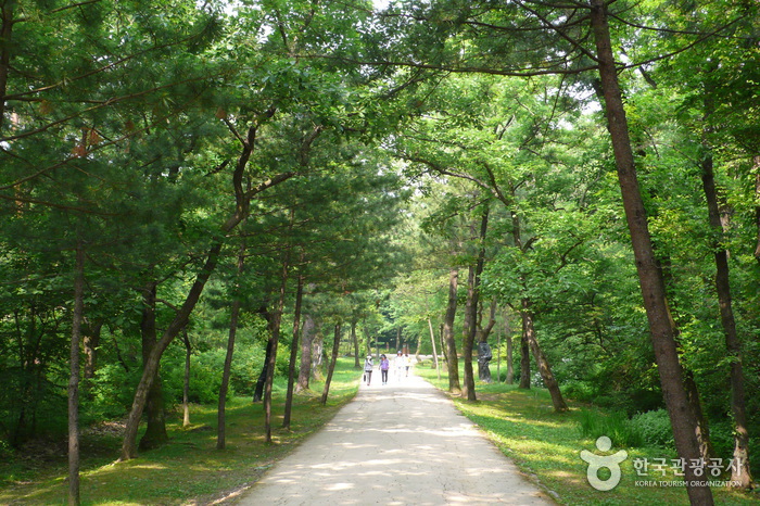 동구릉 산책로