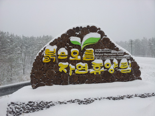 붉은오름자연휴양림 사진6