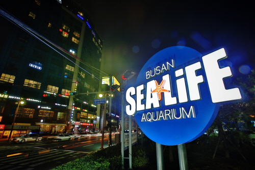 SEA LIFE 부산아쿠아리움