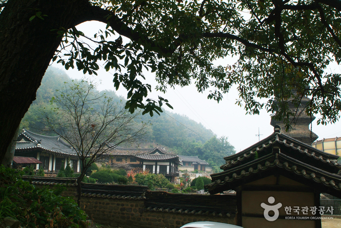 Goseongissi Tapdongpa Jongtaek (Gosoeng Lee Head Family Estate)(법흥동 고성이씨탑동파종택)