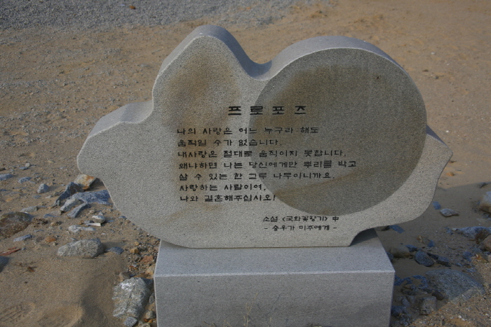 김하인 아트홀 국화꽃향기
