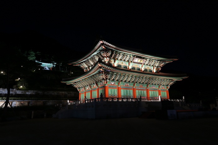 [최우수축제] 산청한방약초축제 2017 