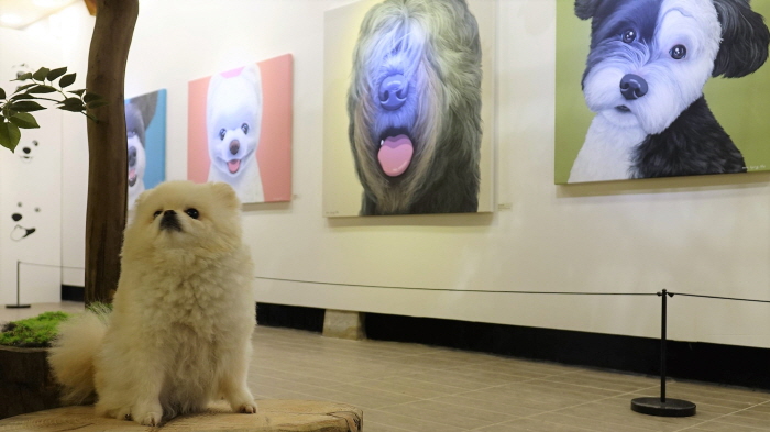 개인취향 展 20197