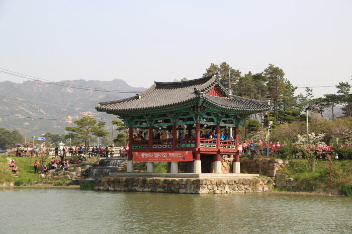 Yeongam Wangin Culture Festival (영암왕인문화축제)0