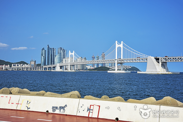 Puente Gwangandaegyo de Busan (부산광안대교)