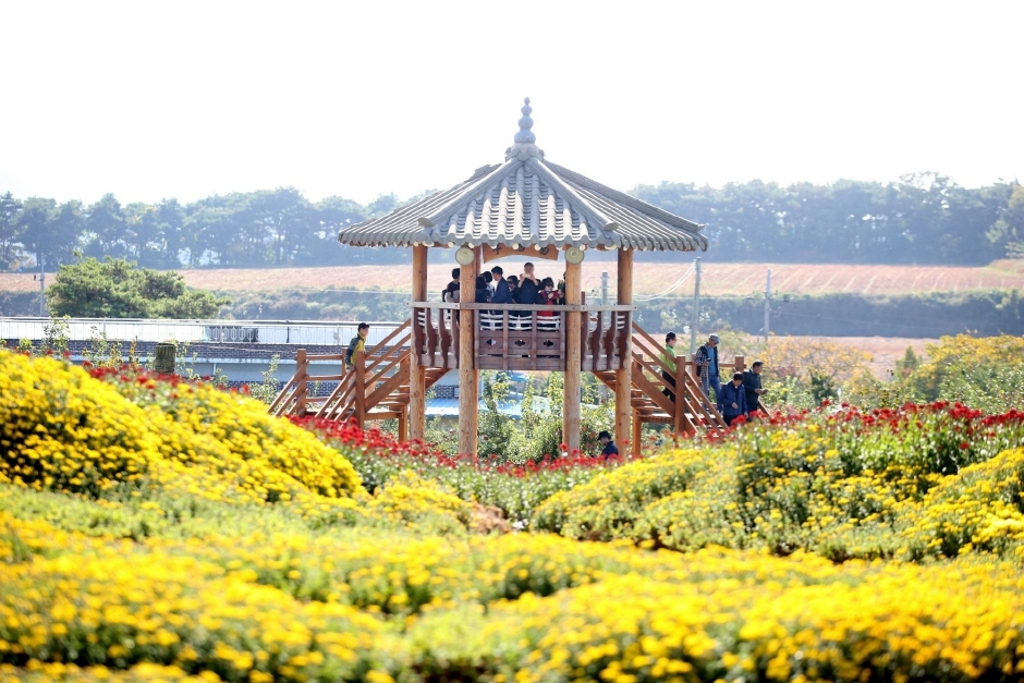Seosan Chrysanthemenfestival (서산국화축제)