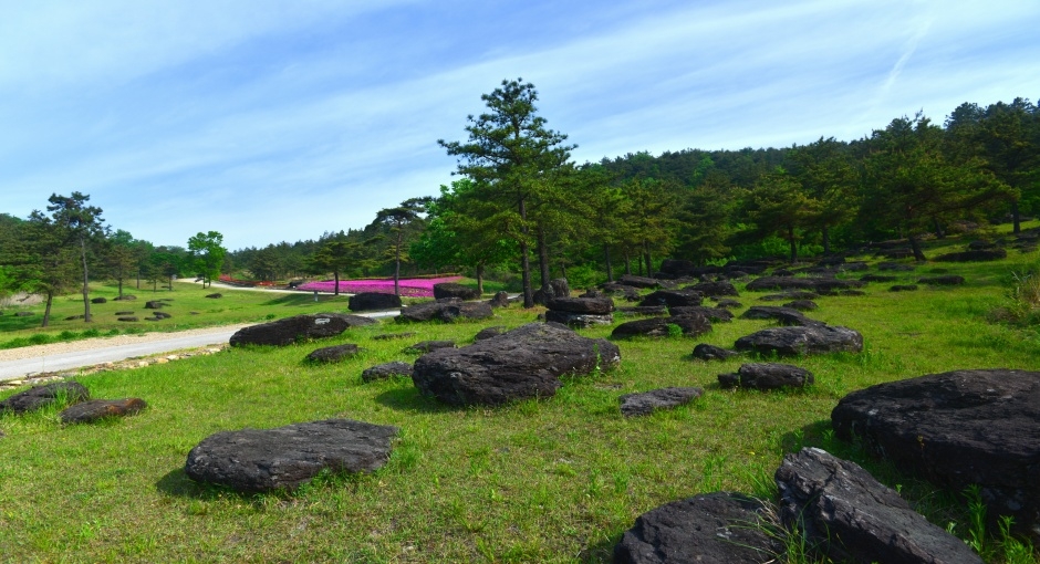 화순 고인돌 장동응회암 (무등산권 국가지질공원)