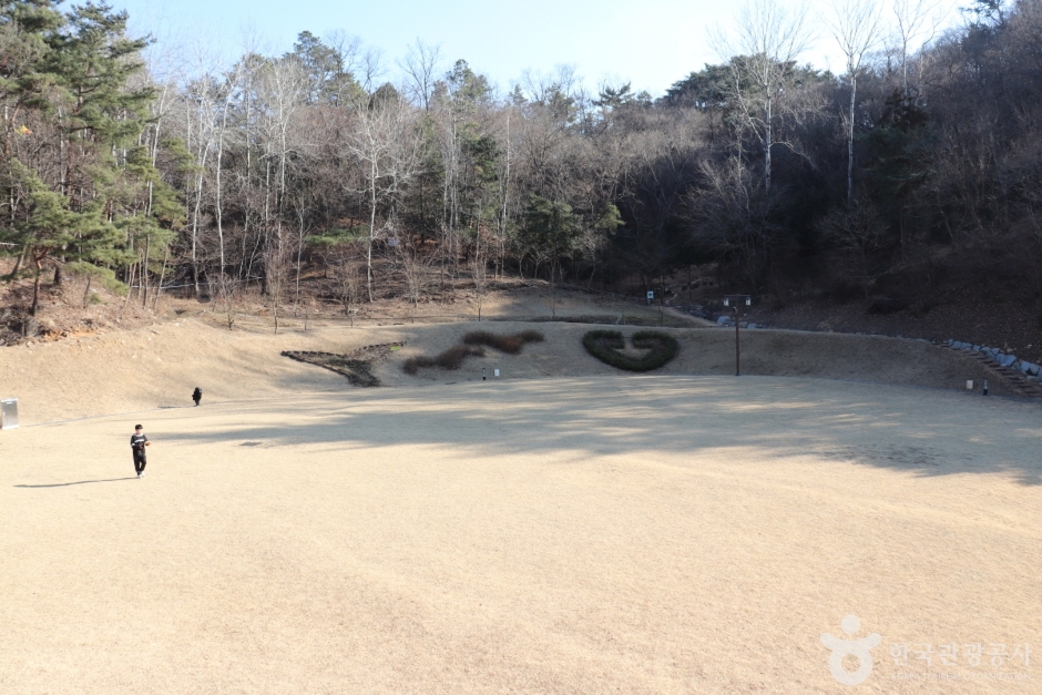 입화산자연휴양림 (11)