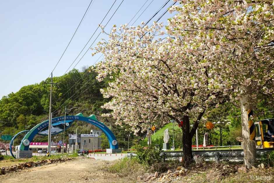 동명지수변생태공원