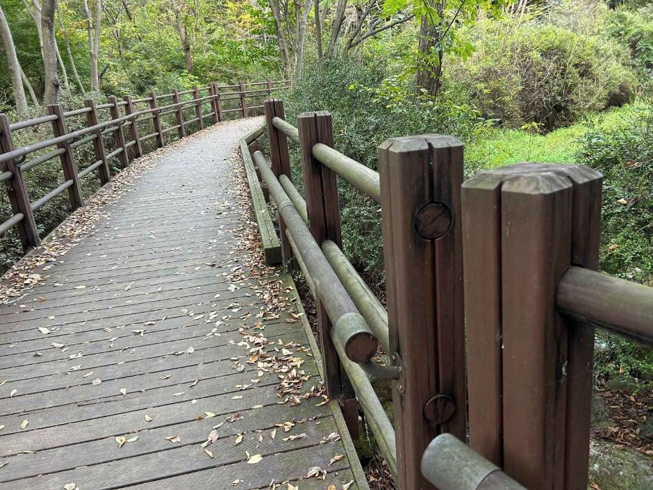 인천대공원 치유숲길