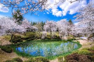 경주_경주 보문관광단지 (2)